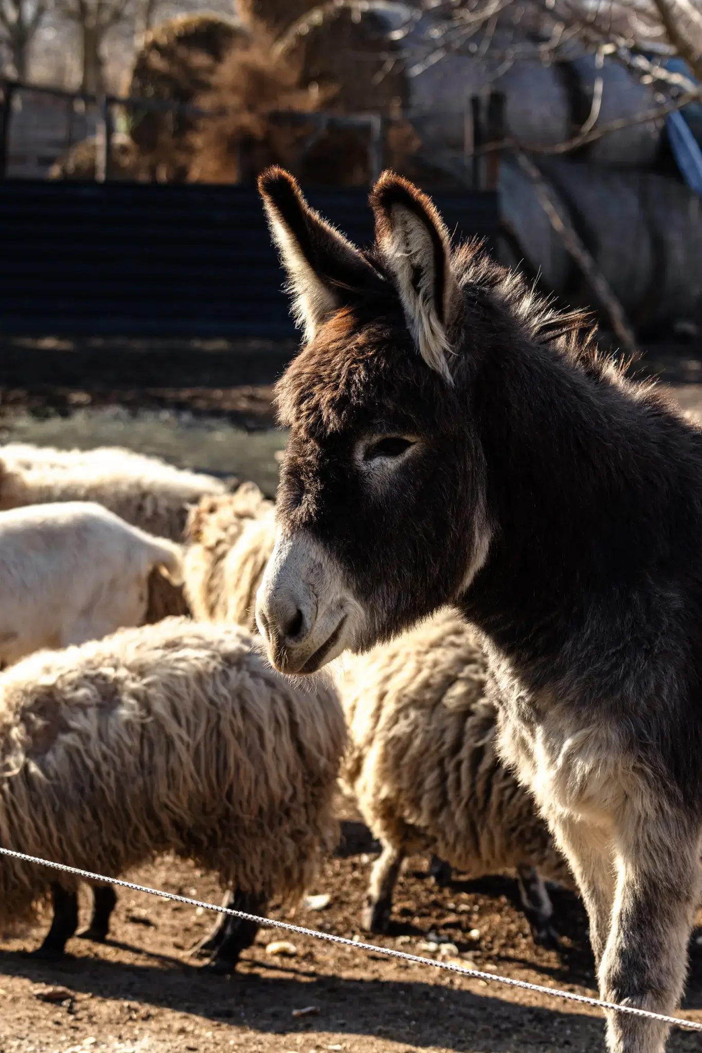 VESKOL Farm galéria 9